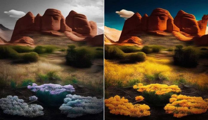 image saturation adjustment tool